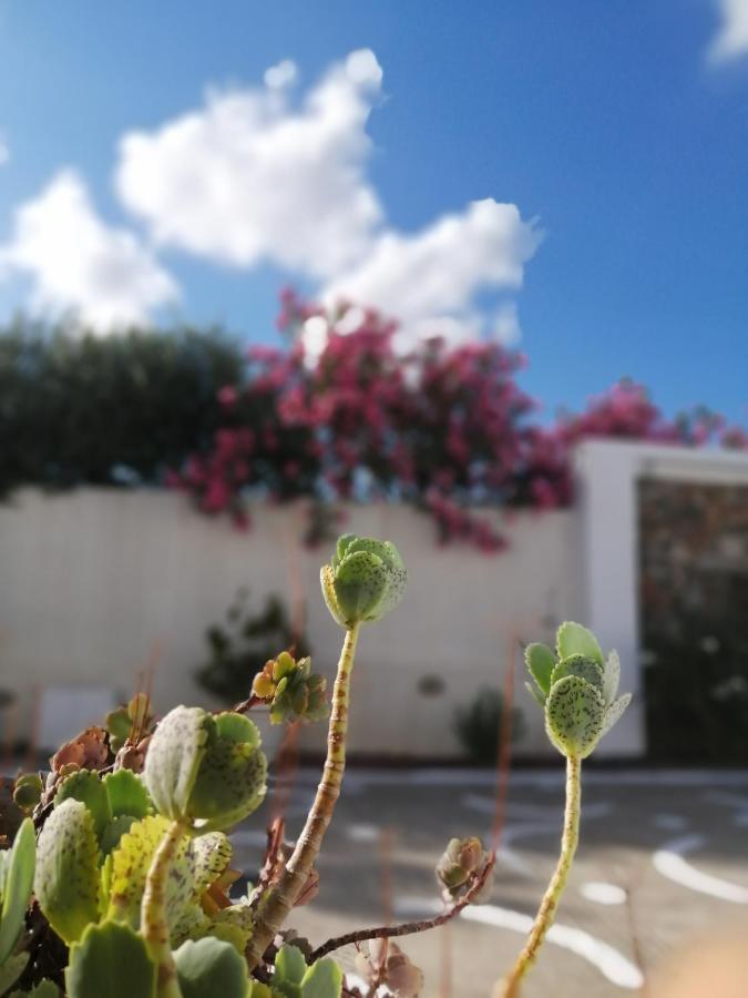 Mouras Resort Livadi  Exterior foto
